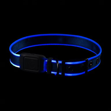 Nite Ize NiteDog Collar LED Recargable Azul para perros